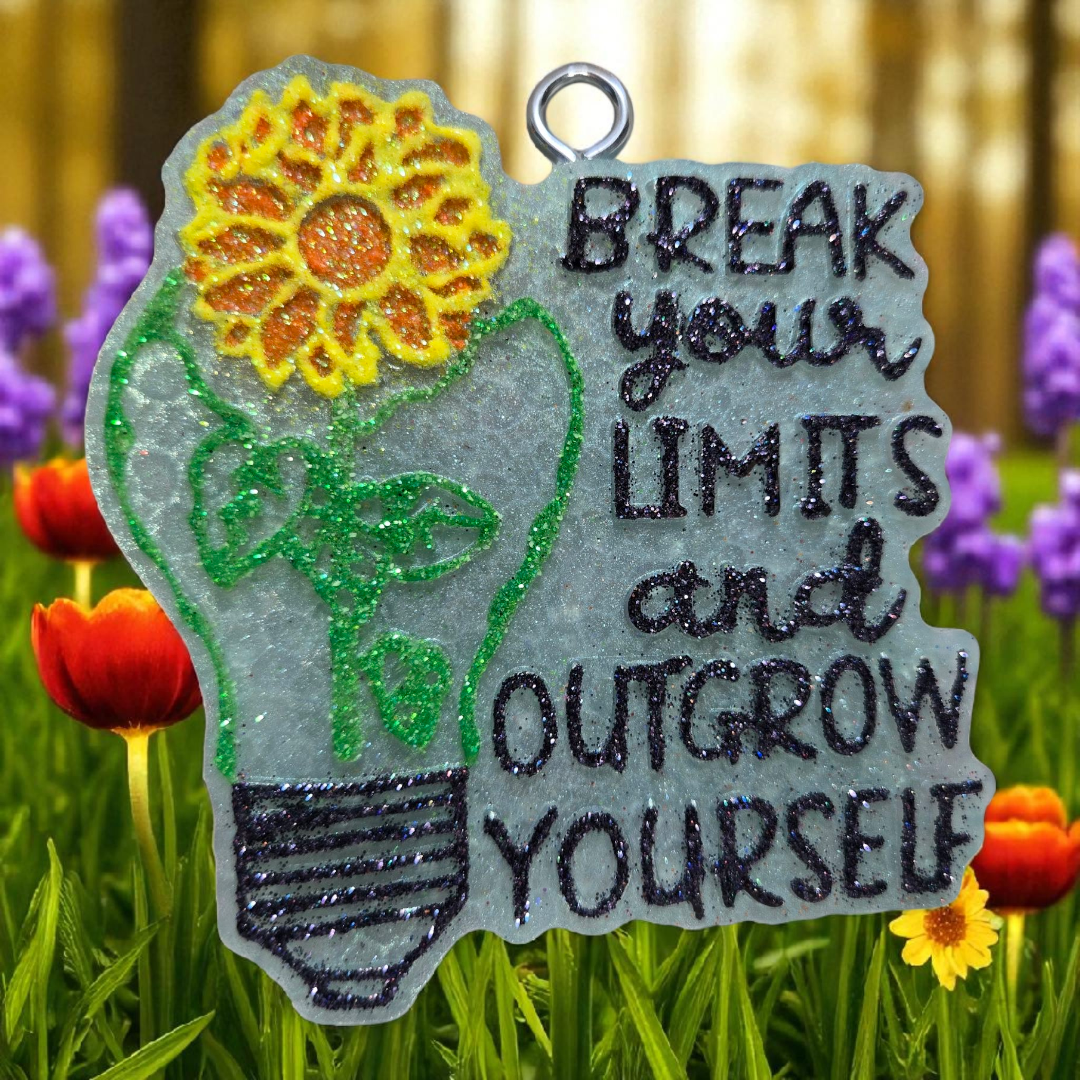 Break Your Limits Hanging Freshie