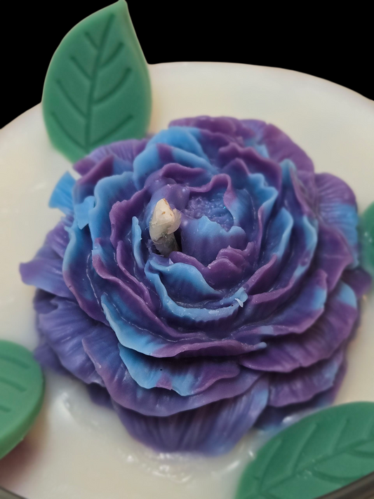 Bohemian Bloom