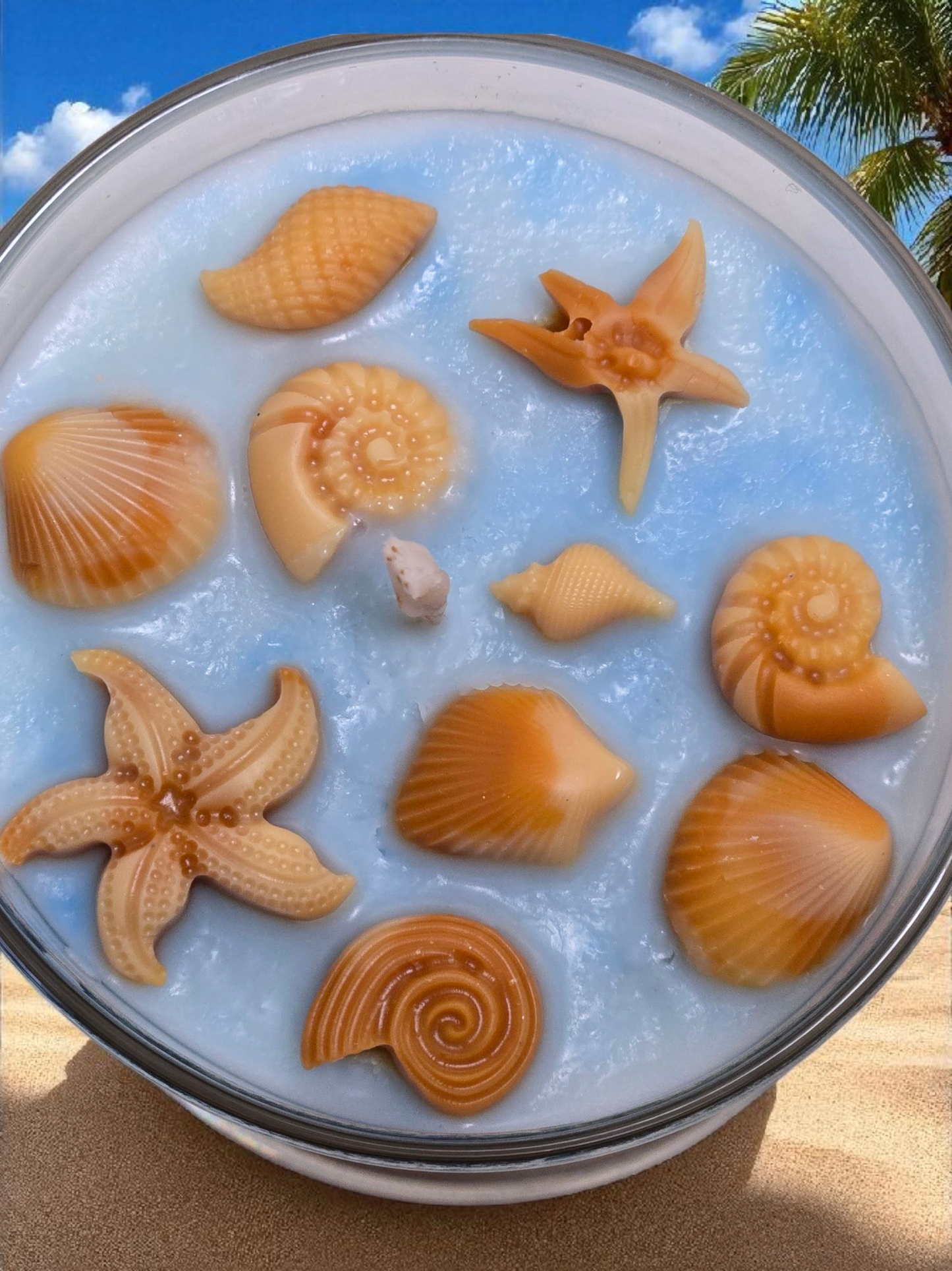 Seashell Coast 11oz